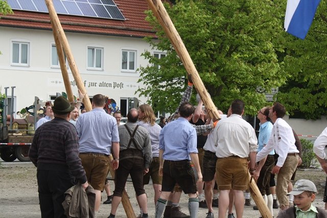 Maibaum 2013